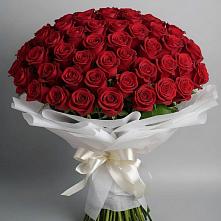 Букет 101 Красная роза Блэк Мэджик в Поварово