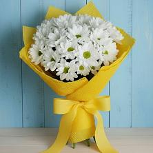 Букет цветов из:  Хризантемы в Поварово