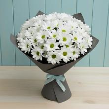 Букет цветов из:  Хризантемы в Поварово