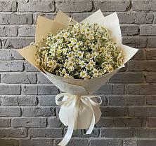 Букет цветов из:  Ромашки #REPLACE_PRED# Поварово