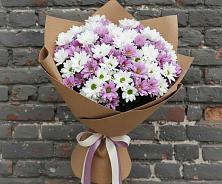 Букет цветов из:  Хризантемы в Поварово