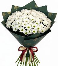 Букет цветов из:  Хризантемы в Поварово
