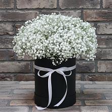 Цветочная композиция из Гипсофила в шляпной коробке в Поварово