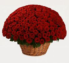 Премиум букет из: Розы в Поварово